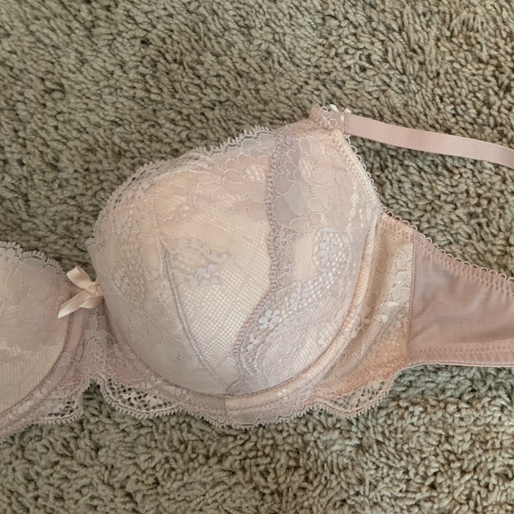 Heidi Klum Intimates - Picture 2 of 4